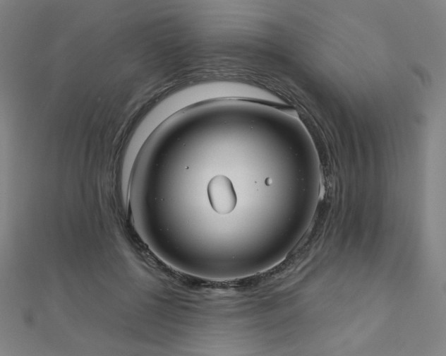 X0000112480552200908171222