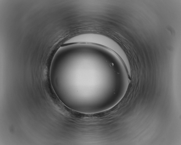 X0000112480556200908171222