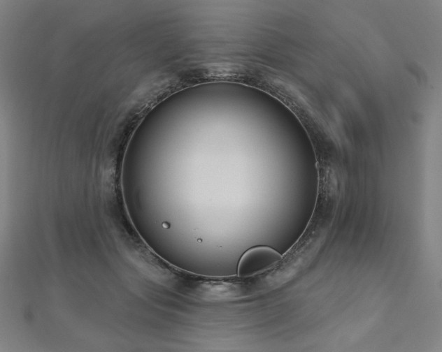 X0000112480557200908171222