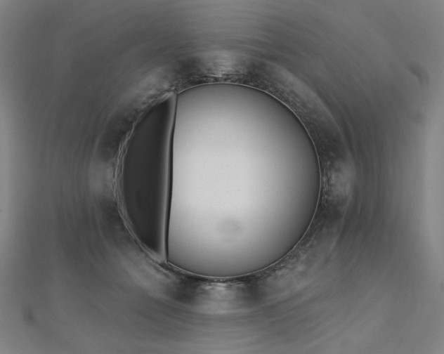X0000112480558200908171222