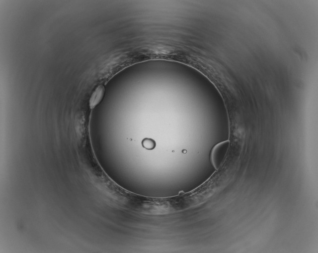 X0000112480559200908171222