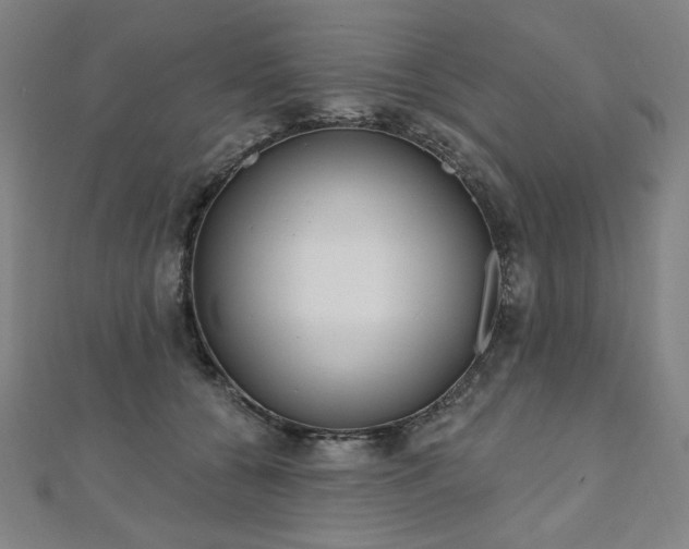 X0000112480560200908171222