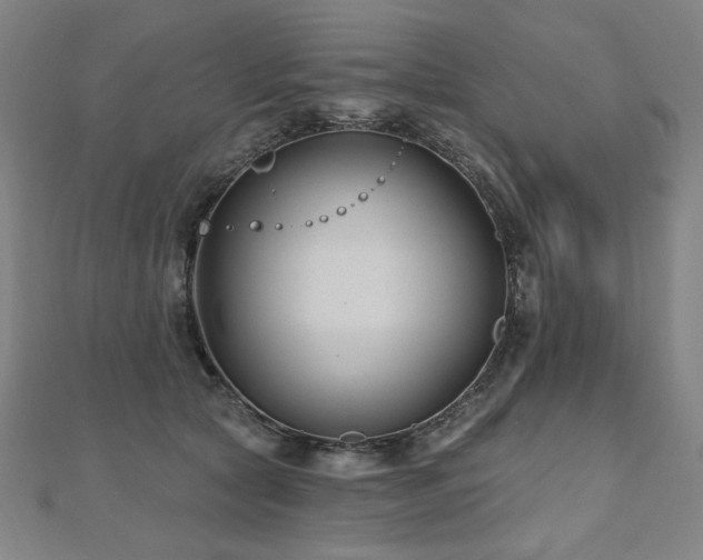 X0000112480561200908171222