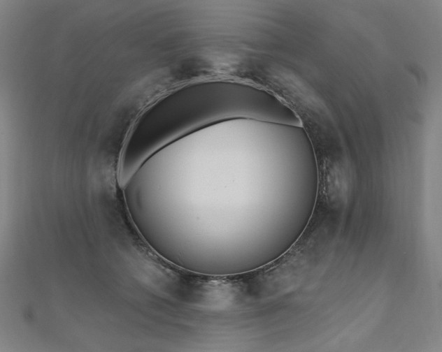 X0000112480562200908171222