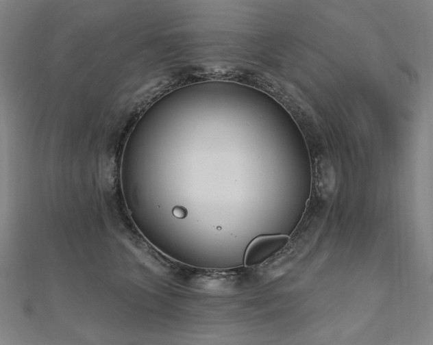 X0000112480563200908171222