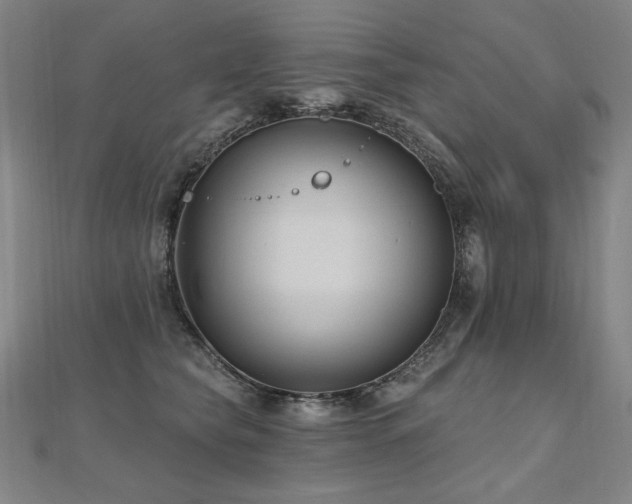 X0000112480565200908171222
