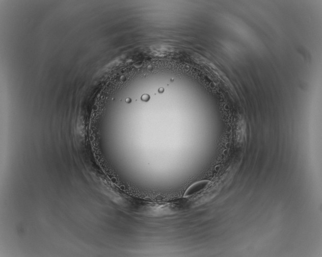 X0000112480569200908171222