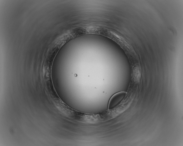 X0000112480571200908171222