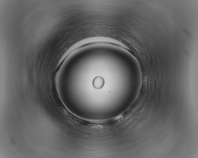 X0000112480572200908171222
