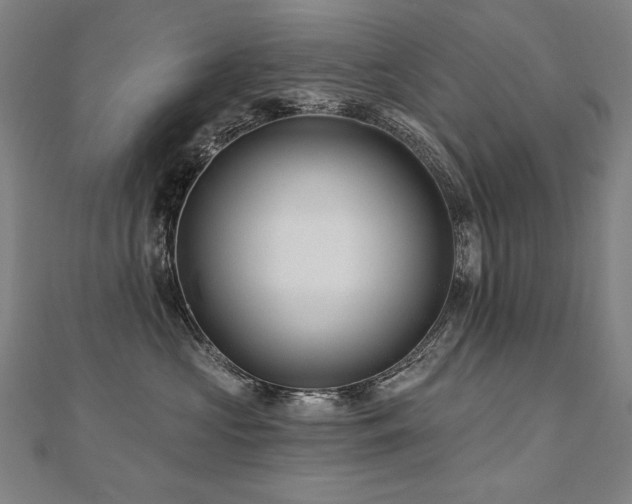 X0000112480573200908171222