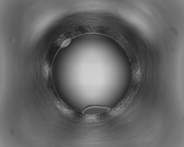 X0000112480574200908171222