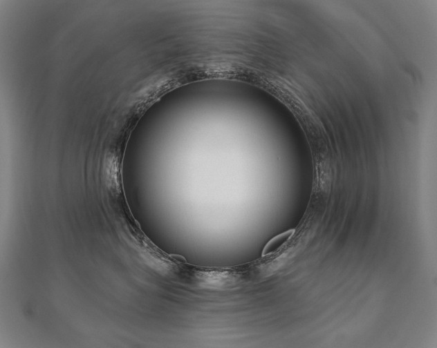 X0000112480575200908171222