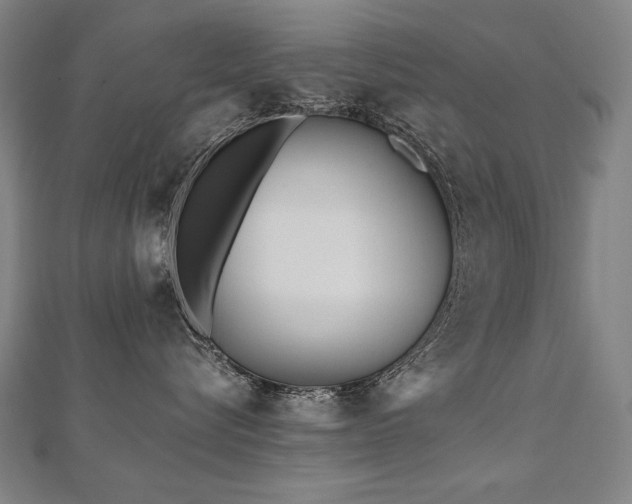 X0000112480576200908171222