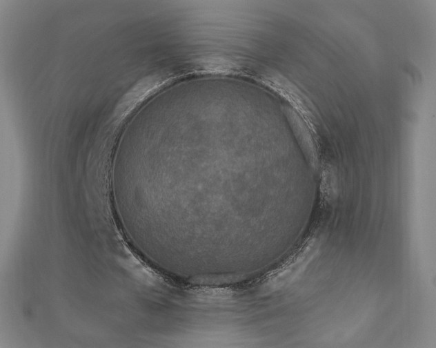 X0000112480577200908171221