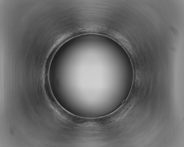 X0000112480578200908171221