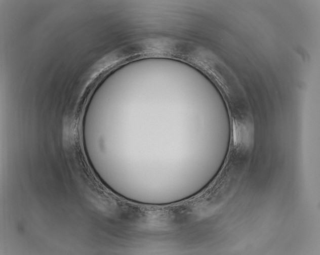 X0000112480579200908171221