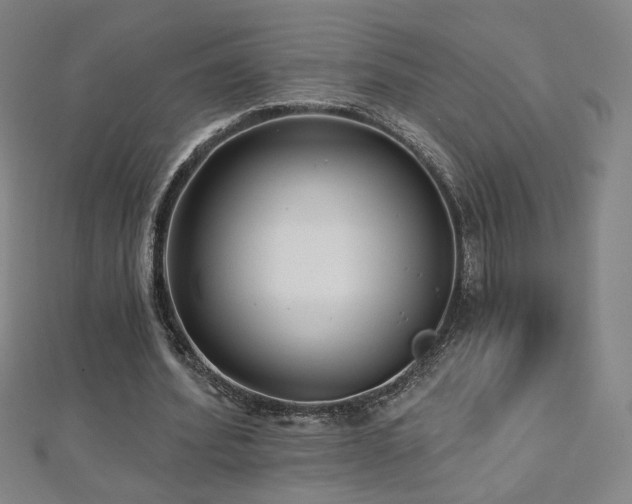 X0000112480580200908171221