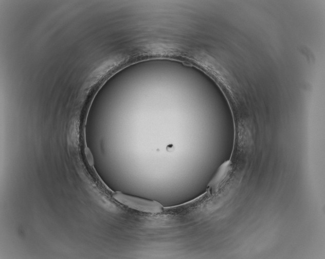 X0000112480581200908171221