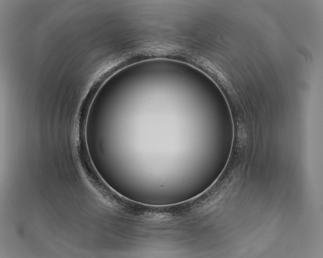 X0000112480582200908171221