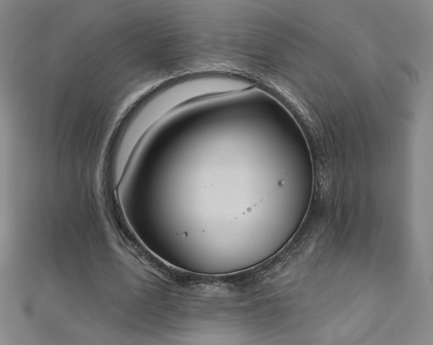 X0000112480583200908171221