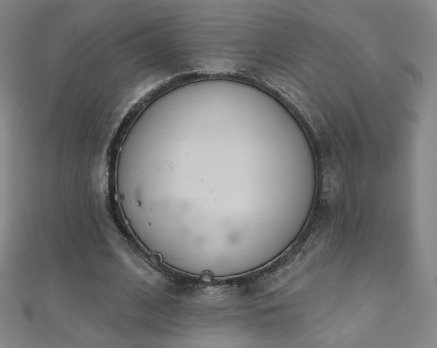 X0000112480584200908171221
