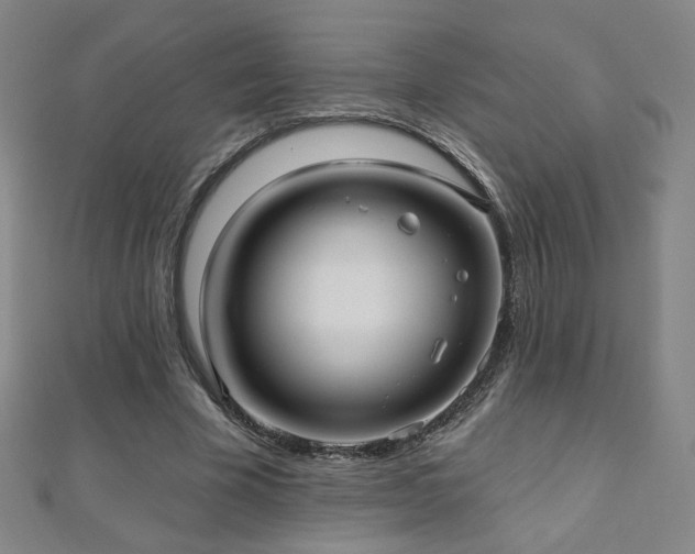 X0000112480585200908171221