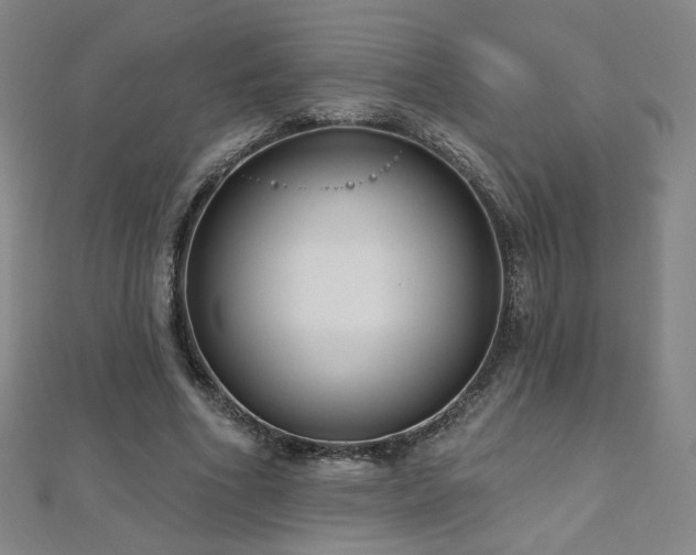 X0000112480586200908171221