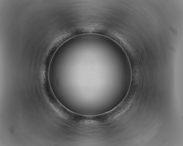 X0000112480590200908171221