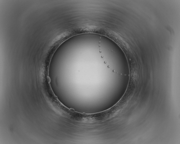 X0000112480591200908171221