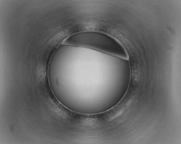 X0000112480593200908171221