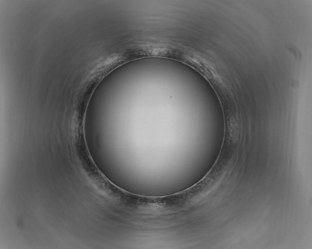 X0000112480594200908171221