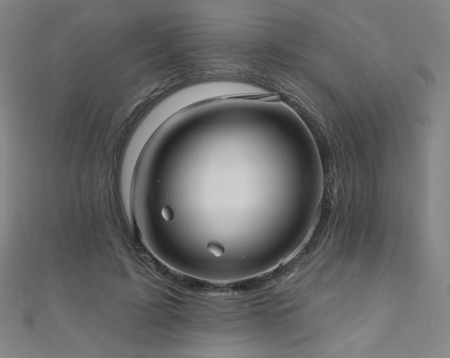 X0000112480595200908171221