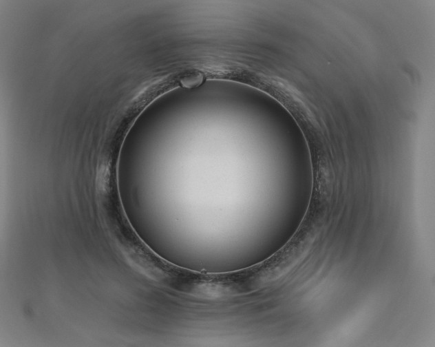 X0000112480596200908171221