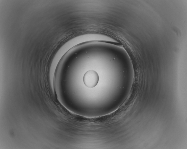 X0000112480597200908171221
