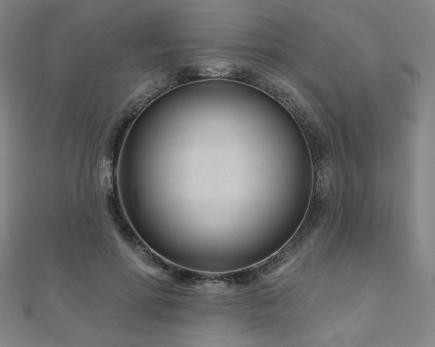 X0000112480598200908171221
