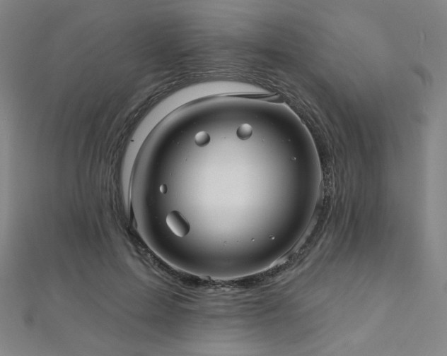 X0000112480599200908171221