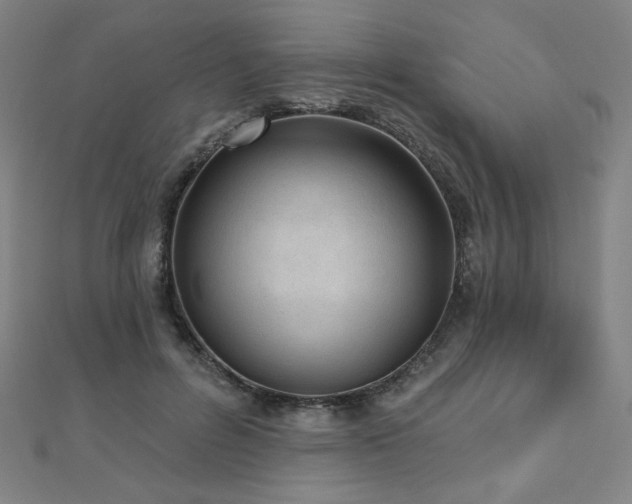 X0000112480600200908171221