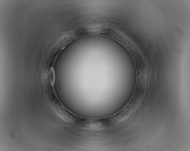 X0000112480601200908171221