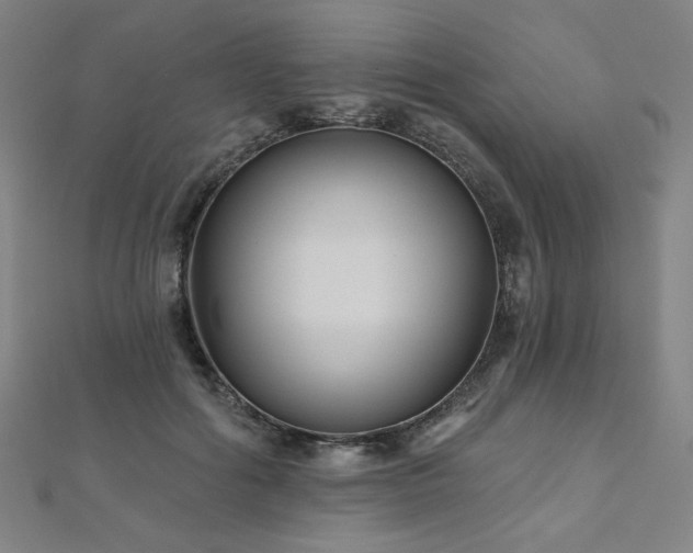 X0000112480602200908171221