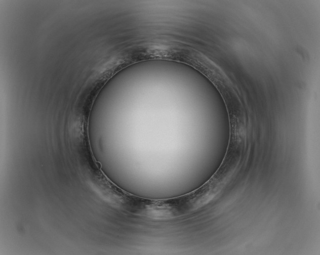 X0000112480603200908171221