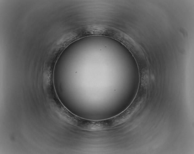 X0000112480604200908171221