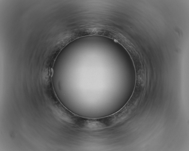 X0000112480605200908171221