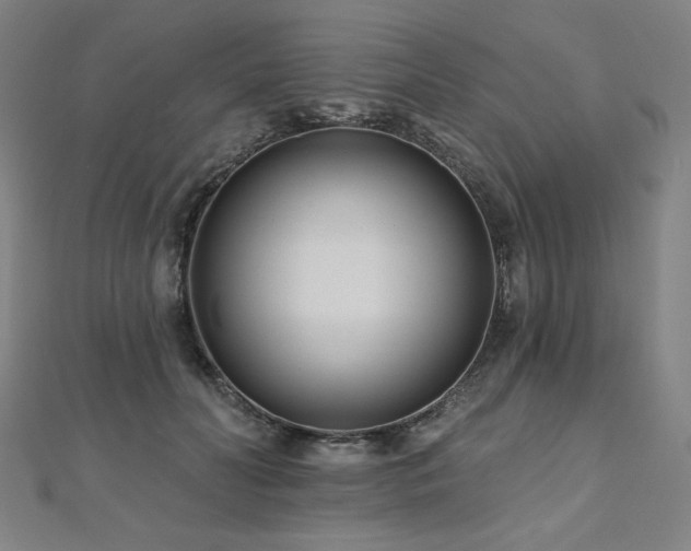 X0000112480606200908171221