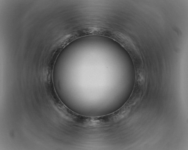 X0000112480607200908171221