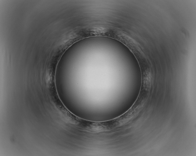 X0000112480608200908171221