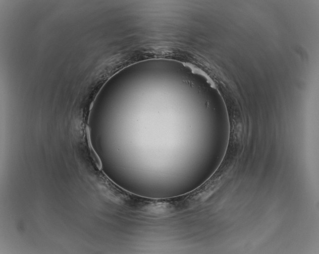 X0000112480609200908171221
