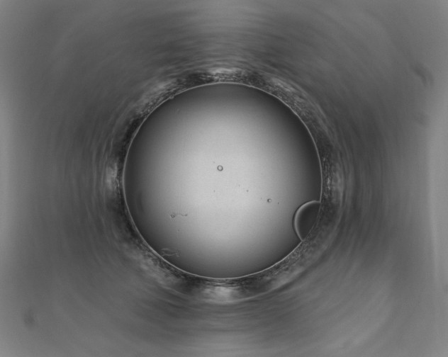 X0000112480610200908171221