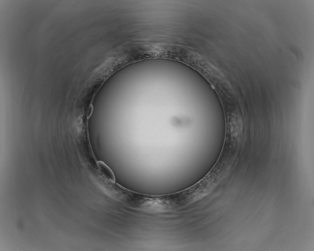 X0000112480611200908171221