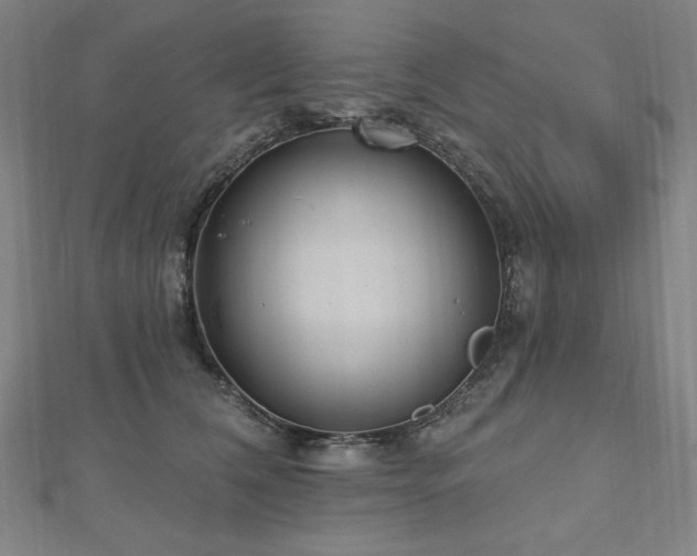 X0000112480612200908171221
