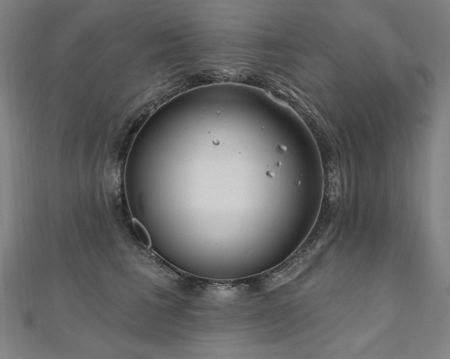 X0000112480613200908171221